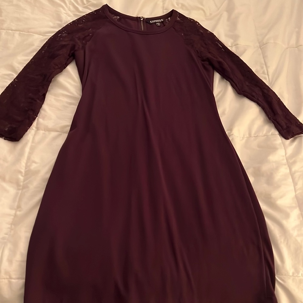 Express Lace and Cotton Dress